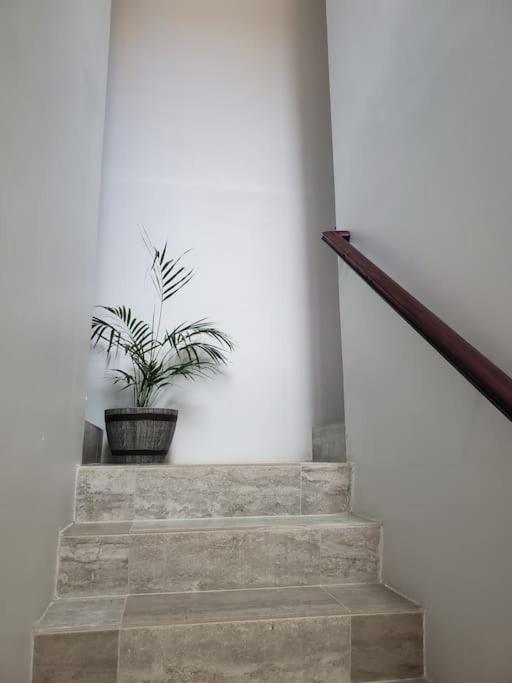 'The Solace' New Luxury Modern 1Bed 1Bath Apt. ポートモア エクステリア 写真